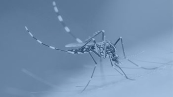 Zika Awareness Online Training Course